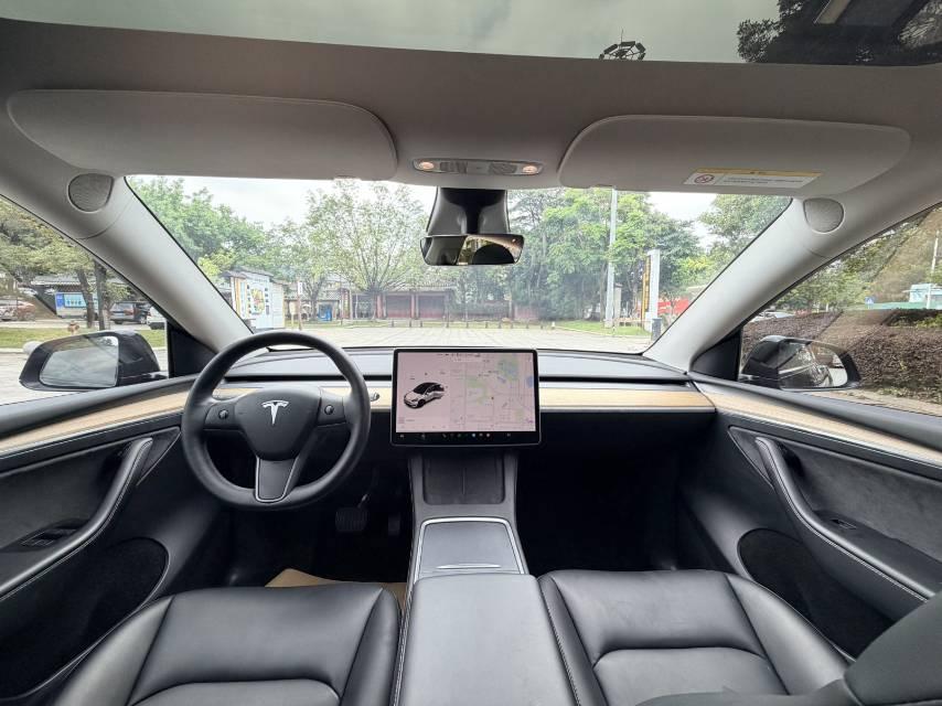 Model Y 2021 Standard Endurance Rear Drive Edition 10