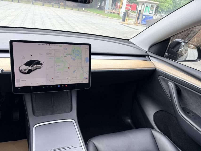 Model Y 2021 Standard Endurance Rear Drive Edition 11