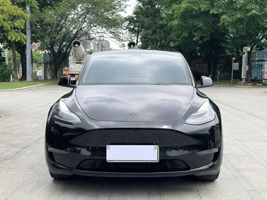 Model Y 2021 Standard Endurance Rear Drive Edition 2