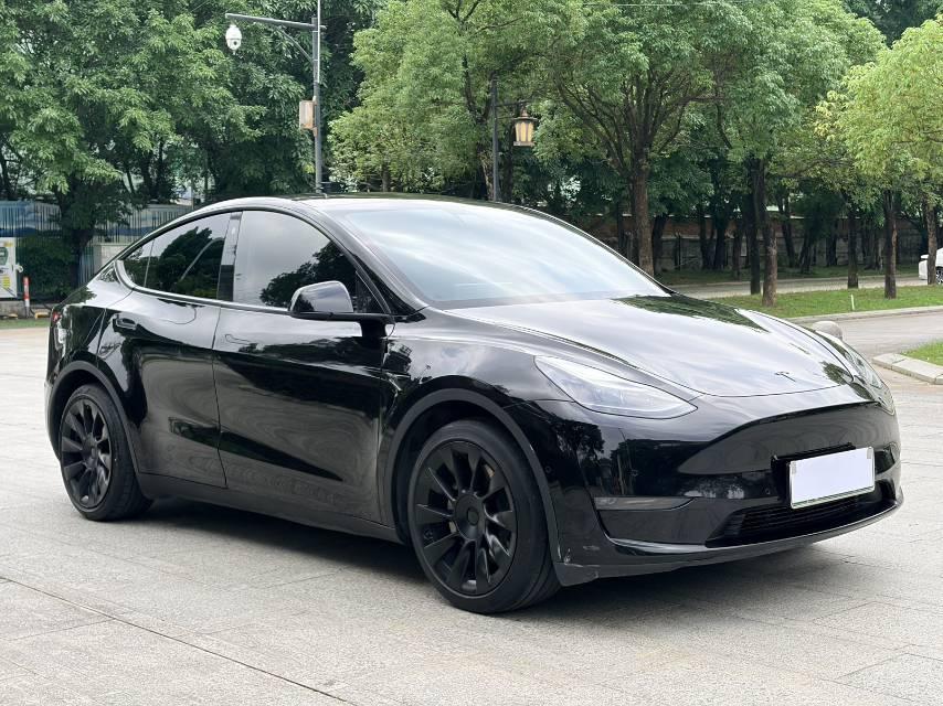 Model Y 2021 Standard Endurance Rear Drive Edition 3
