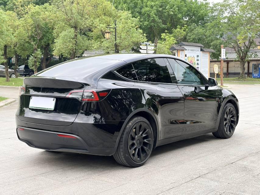 Model Y 2021 Standard Endurance Rear Drive Edition 4