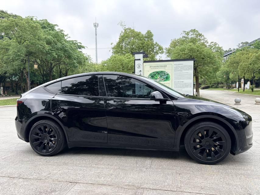 Model Y 2021 Standard Endurance Rear Drive Edition 5