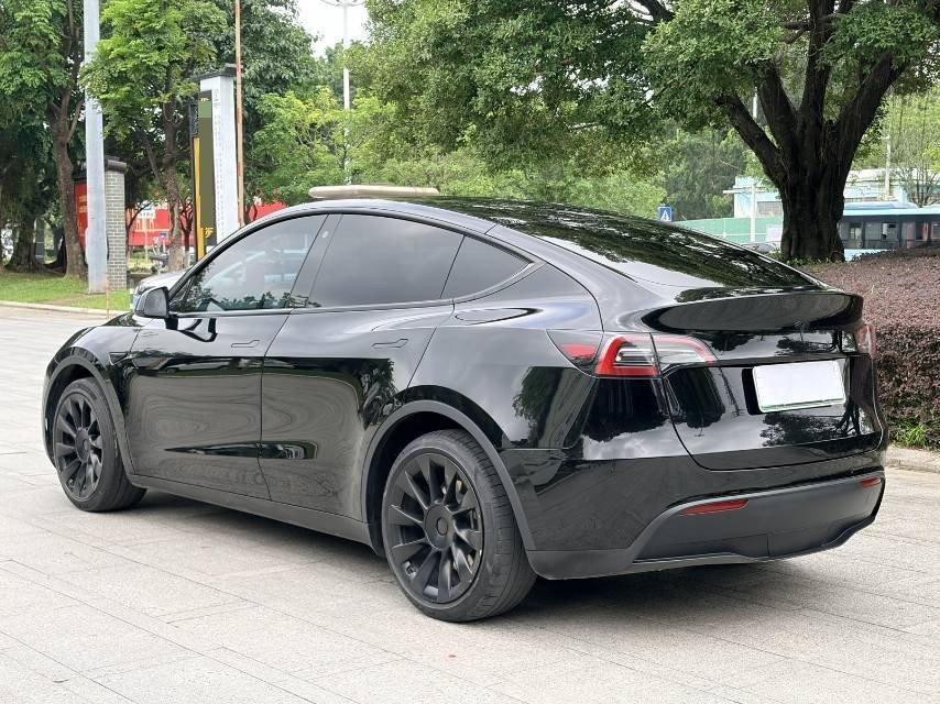 Model Y 2021 Standard Endurance Rear Drive Edition 7