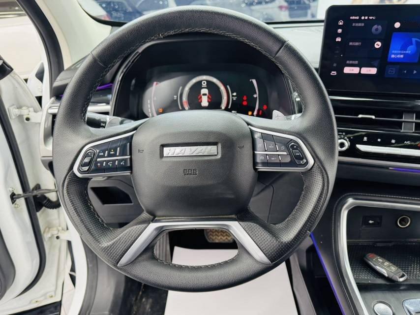 Haval H6 2021 National Tide Edition 1.5T Auto Champion Edition 7