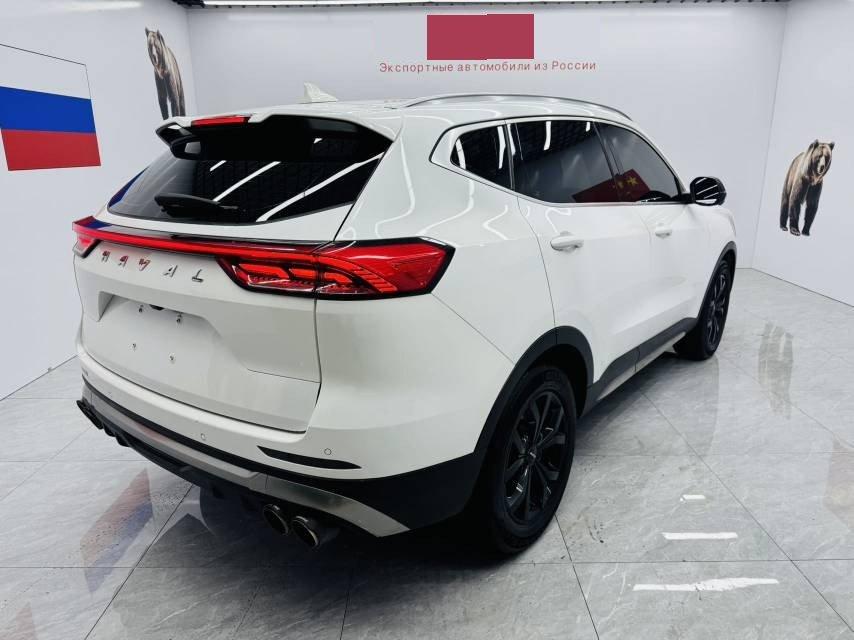 Haval H6 2021 National Tide Edition 1.5T Auto Champion Edition 8