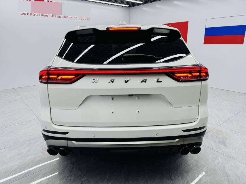 Haval H6 2021 National Tide Edition 1.5T Auto Champion Edition 9