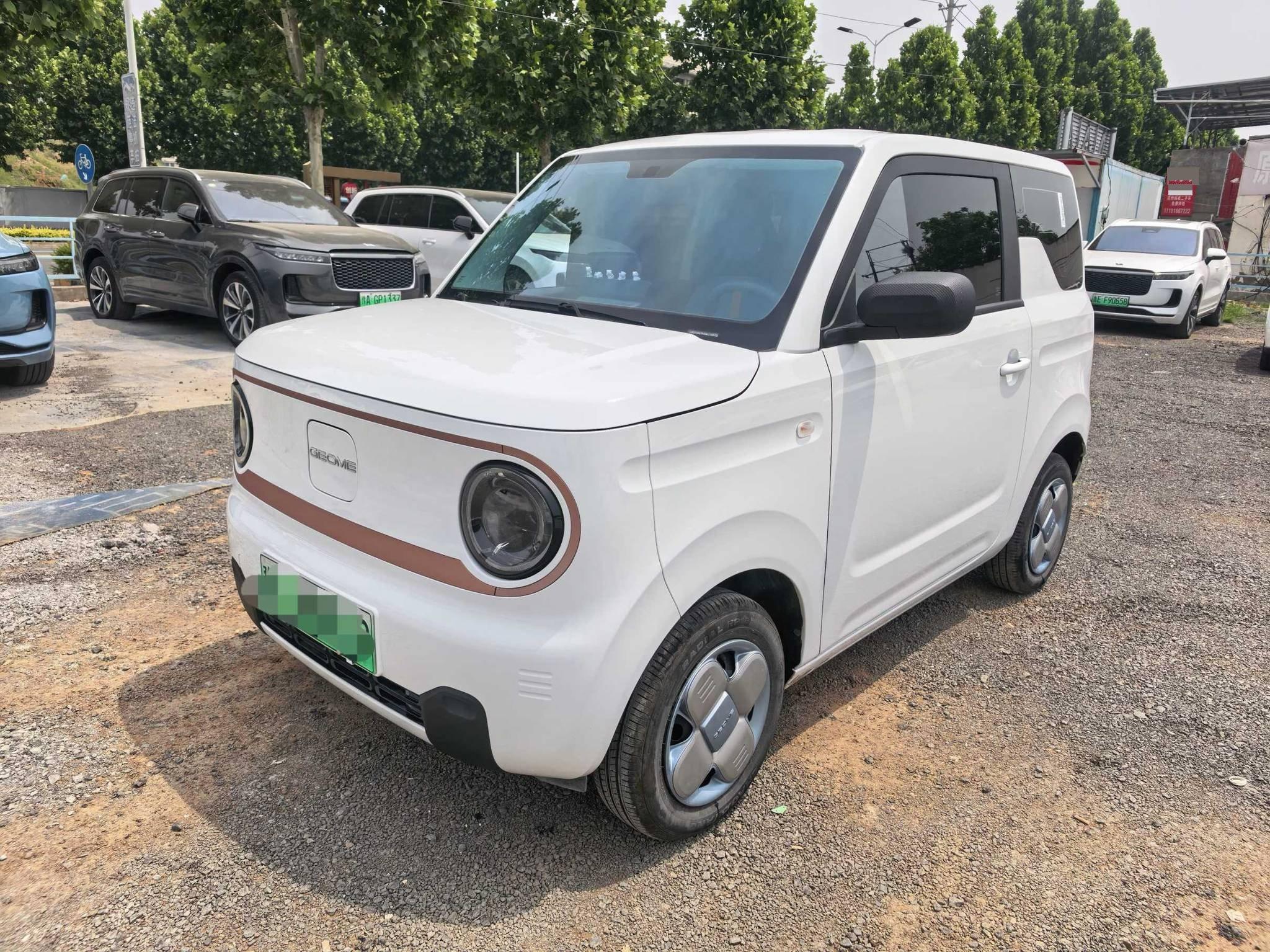 Panda 2024 panda mini 200km endurance bear