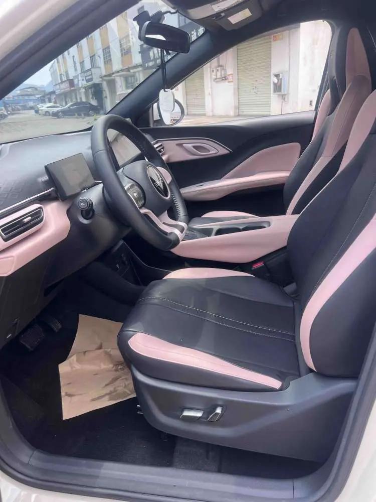 BYD 2023 seagull flying version automatic gear 7