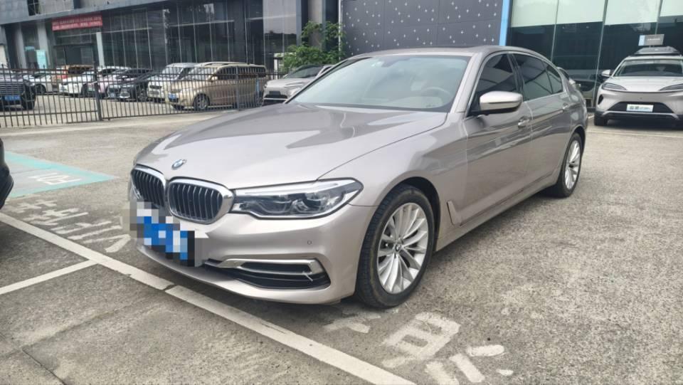 BMW 5 Series 2020 530Li Leading Luxury Suit