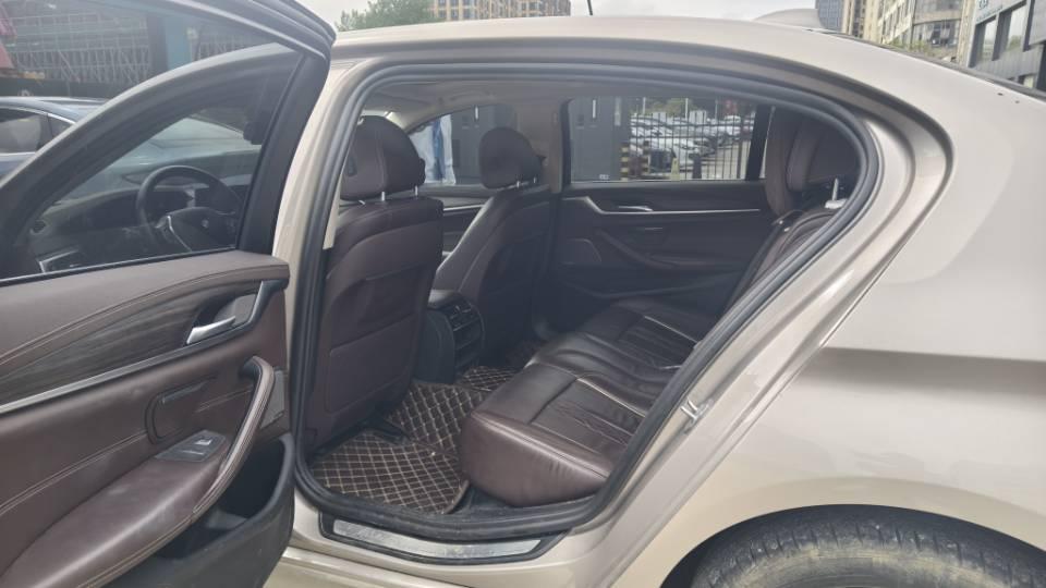 BMW 5 Series 2020 530Li Leading Luxury Suit 3