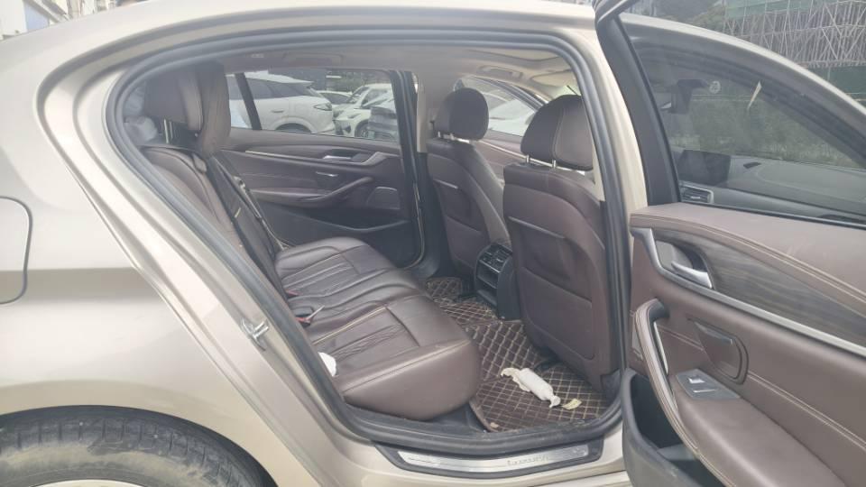 BMW 5 Series 2020 530Li Leading Luxury Suit 4