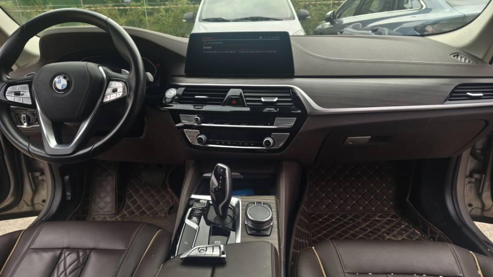 BMW 5 Series 2020 530Li Leading Luxury Suit 5