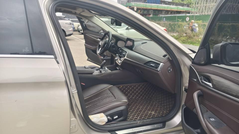 BMW 5 Series 2020 530Li Leading Luxury Suit 6