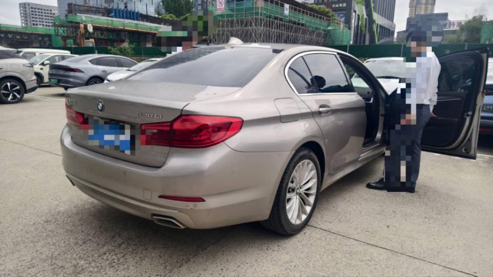 BMW 5 Series 2020 530Li Leading Luxury Suit 8