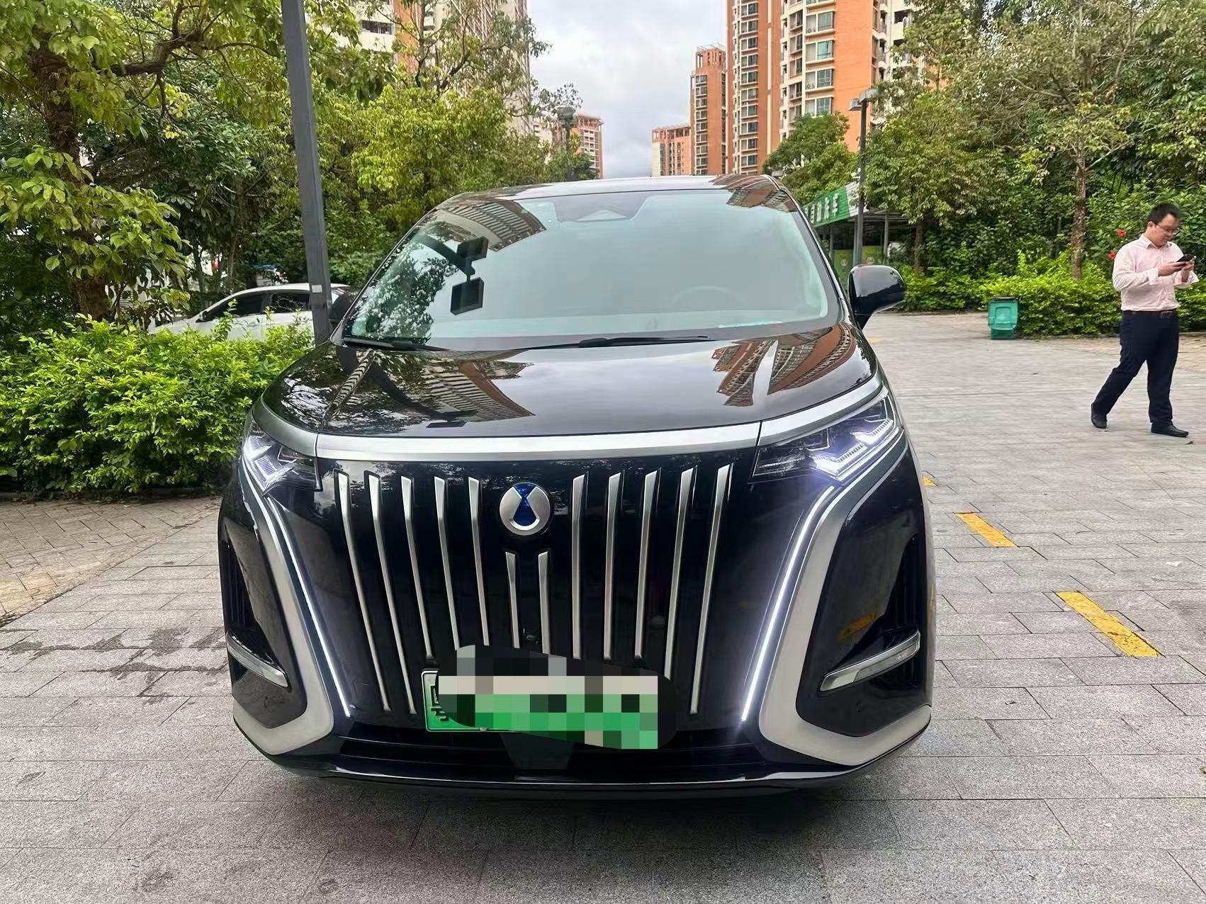Denza D9 2022 EV 600 Four-wheel Drive Flagship 3