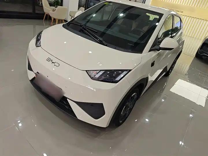 Seagull 2025 Smart Driving Edition 305km Free Edition