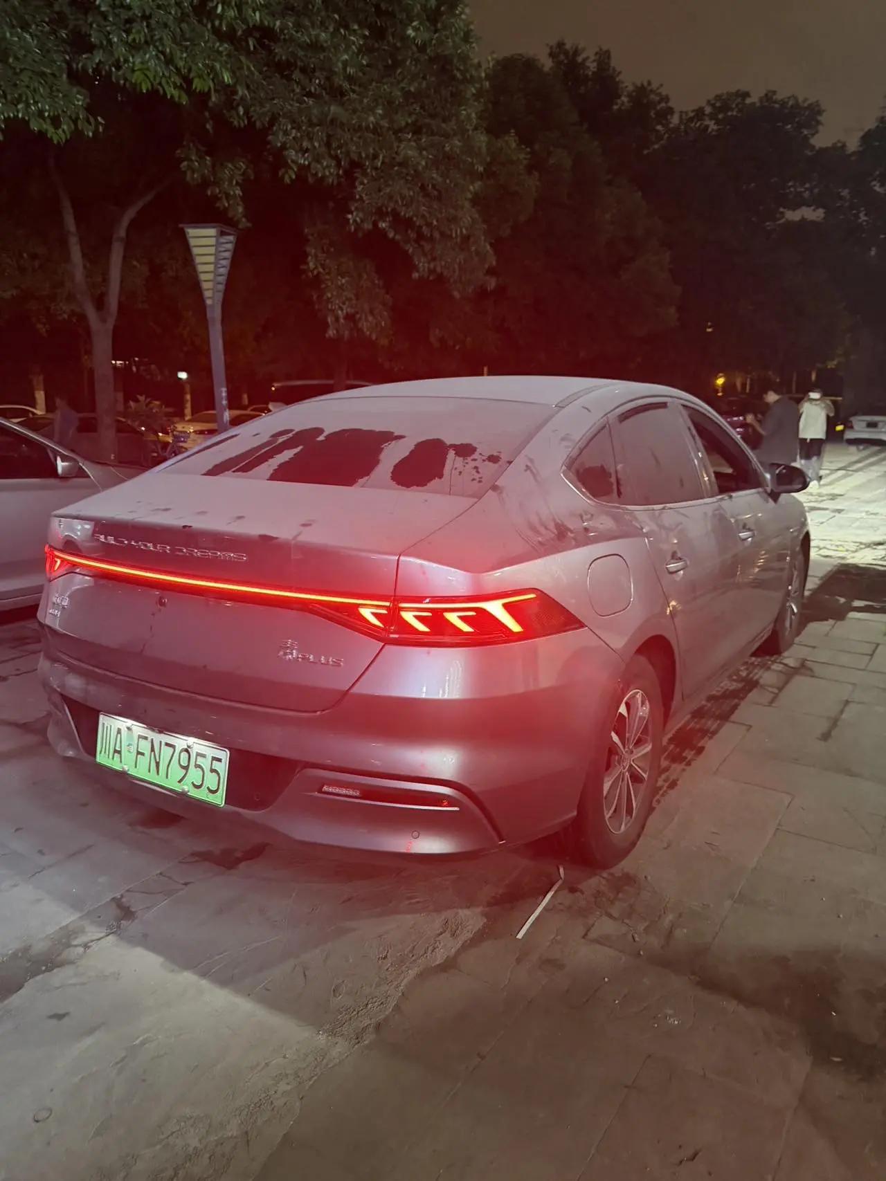 Qin PLUS 2021 DM-i 55KM Honorable Model 2