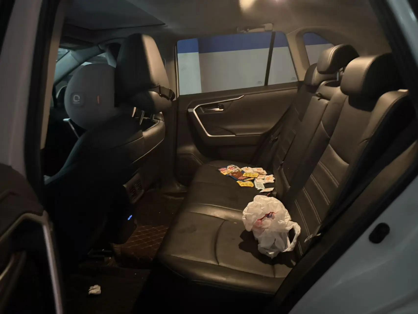 Wildlander 2022 2.0L CVT Front-Wheel-Drive Luxury PLUS Edition 5