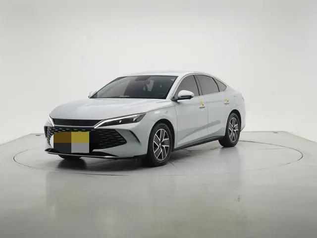 Qin L 2024 DM-i 80KM Exceed