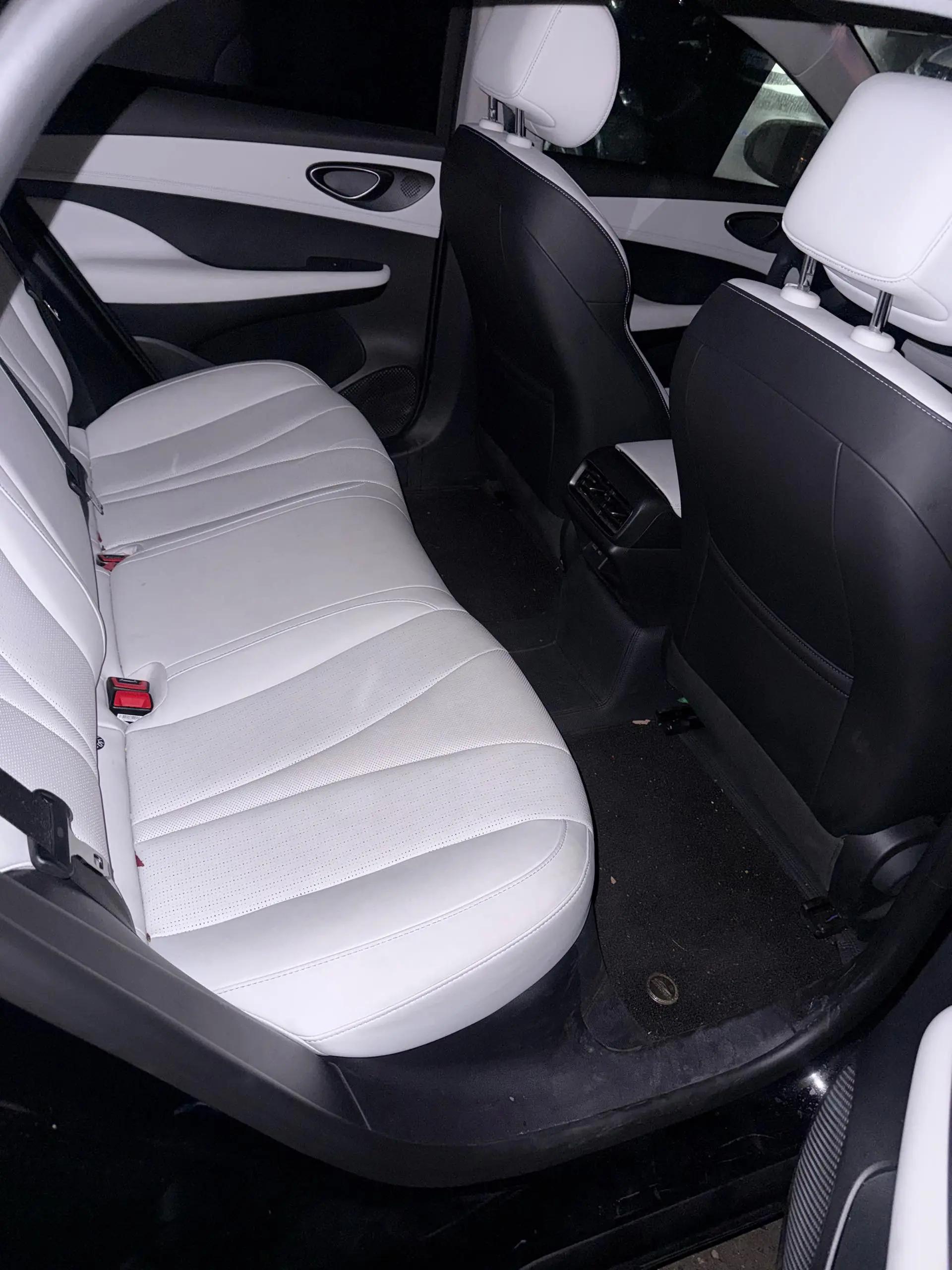 Seal 05 DM-i 2025 DM-i Smart Driving 55KM Luxury 5