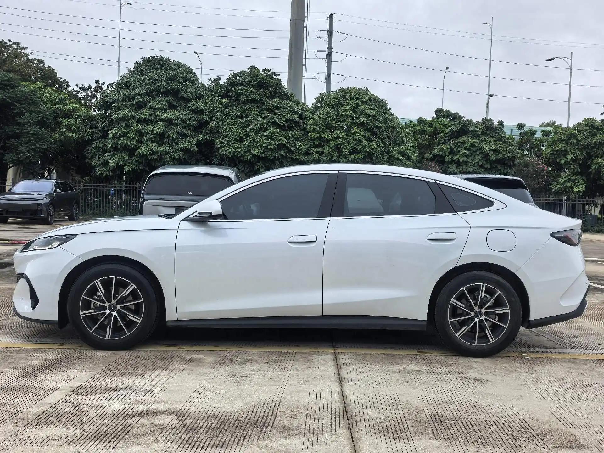 Seal 06 DM-i 2024 DM-i 80KM Honorable Model 5