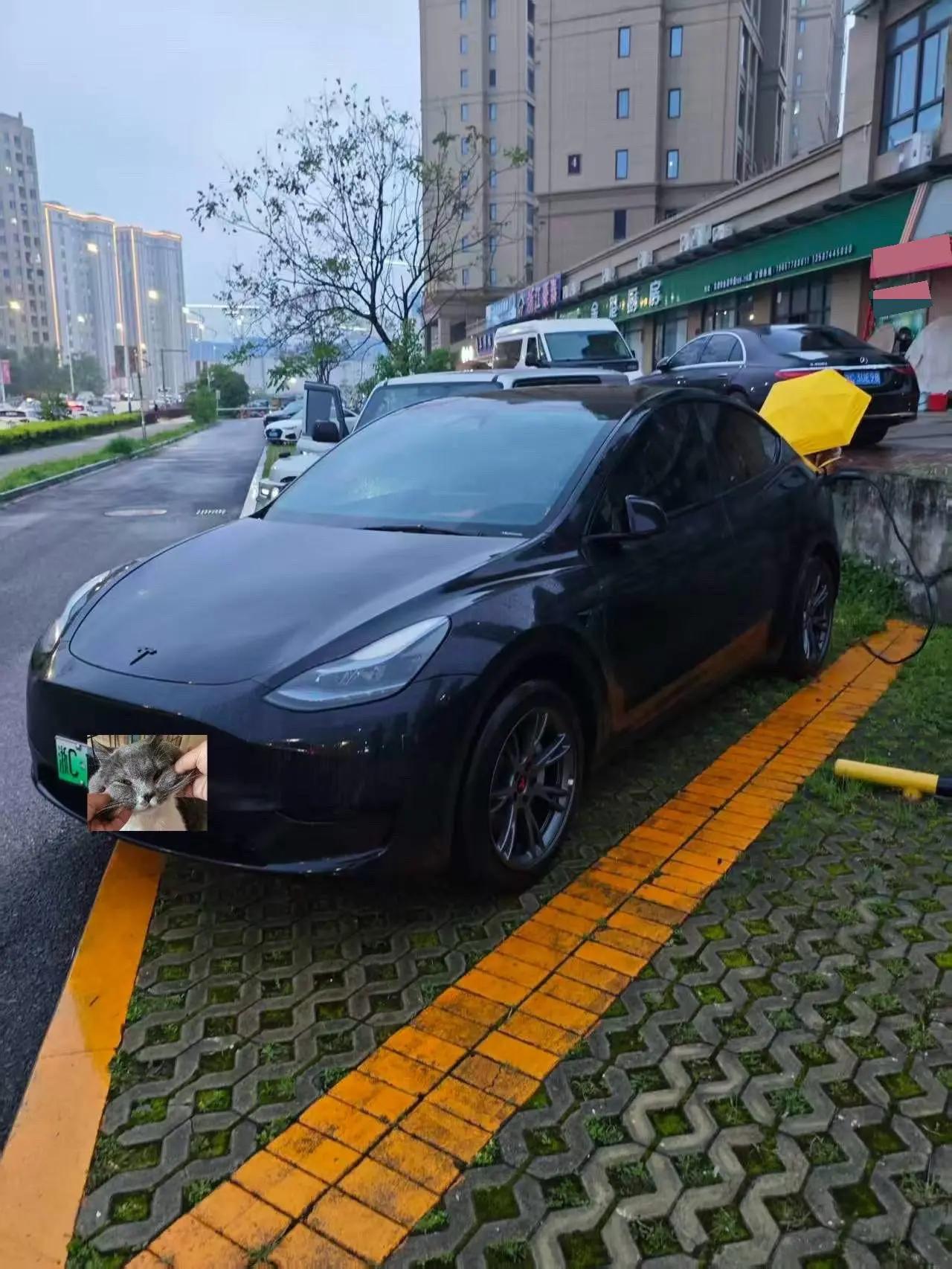 Model Y 2023 rear-wheel drive version