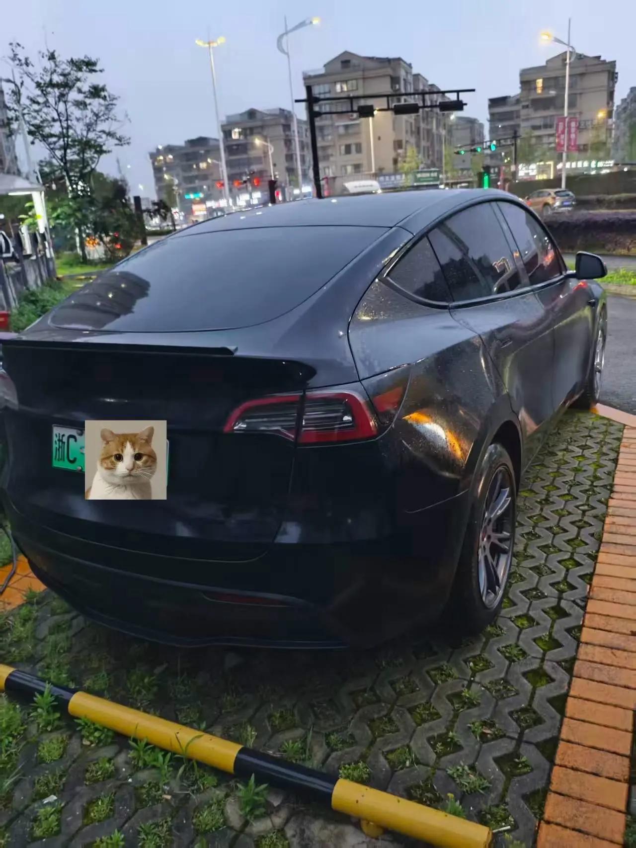 Model Y 2023 rear-wheel drive version 4