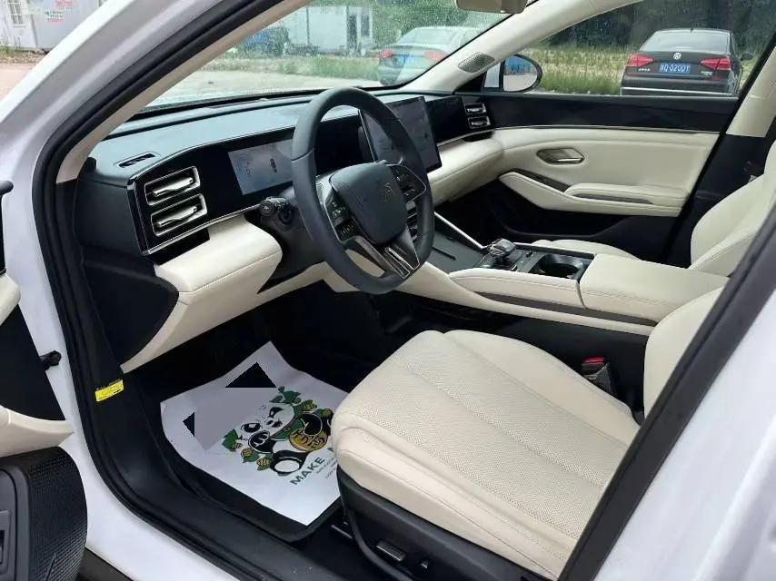 Qin L 2024 DM-i 80KM Exceed 4