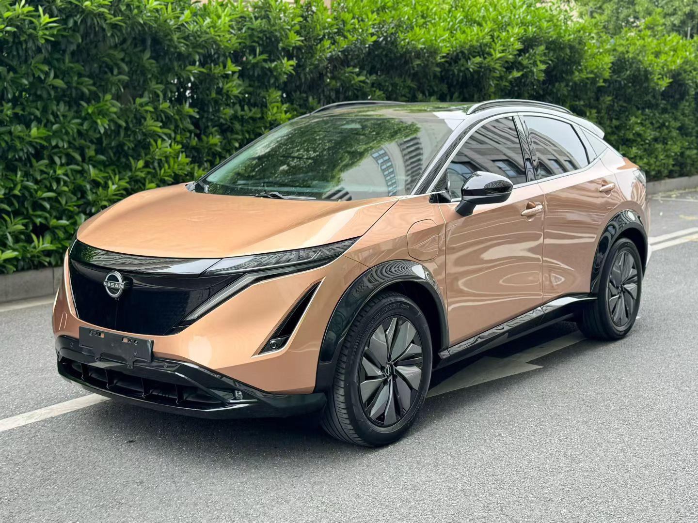 Ariya Aria 2022 Two-Drive Long Endurance Top Edition