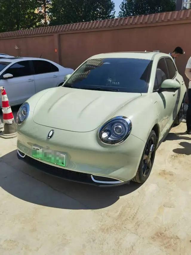 Ora good cat 2024 401km luxury model