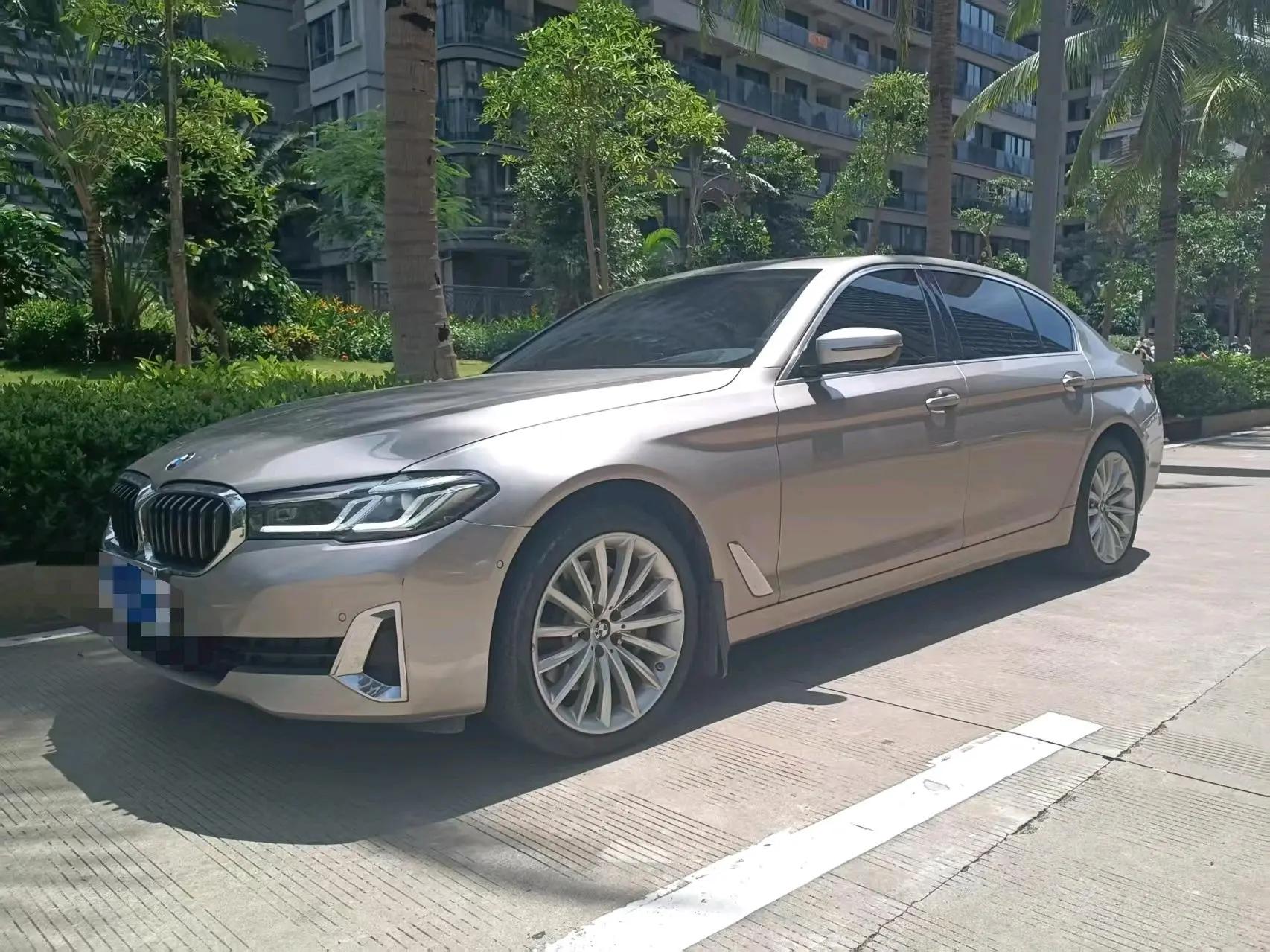 BMW 5 Series 2021 530Li Premium Luxury Suit