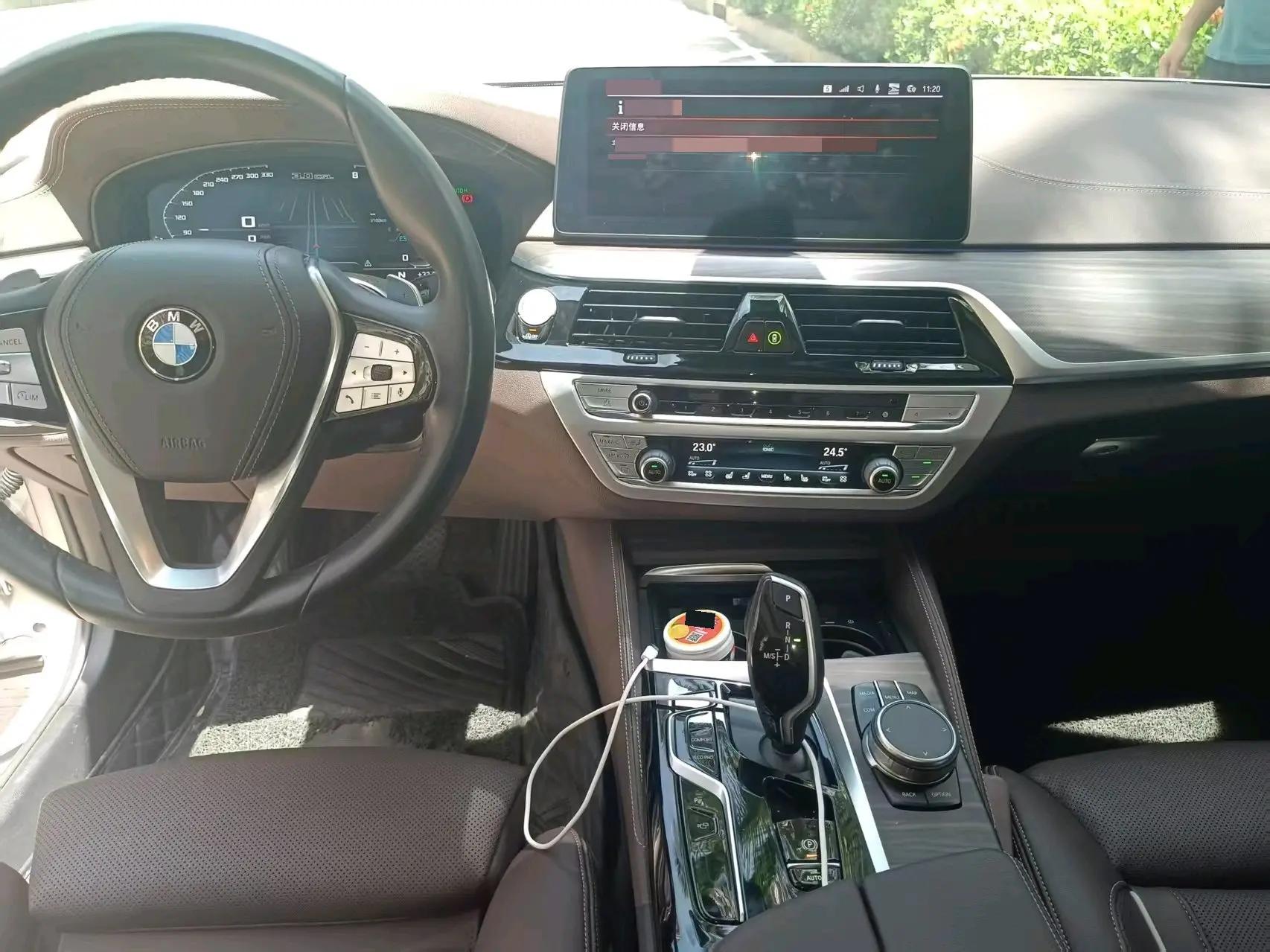 BMW 5 Series 2021 530Li Premium Luxury Suit 3