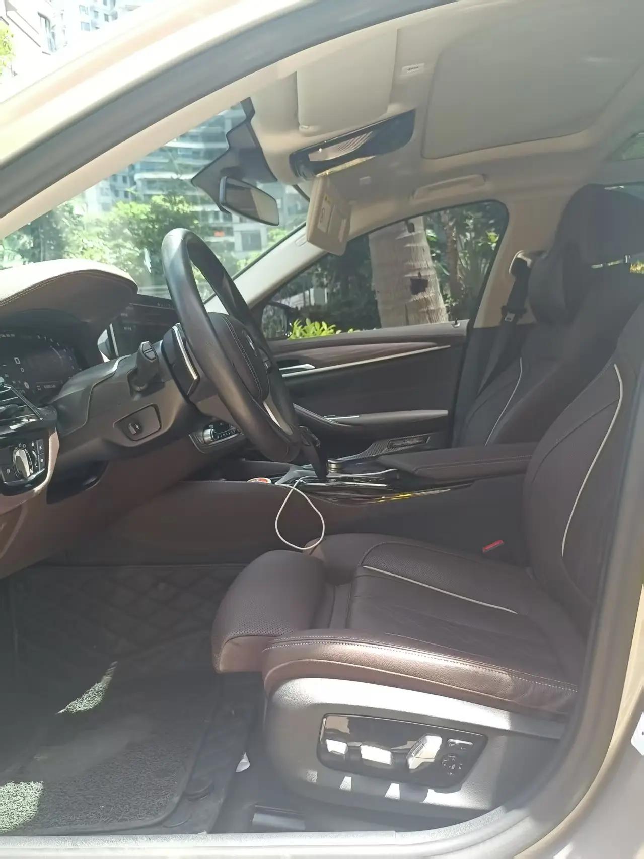 BMW 5 Series 2021 530Li Premium Luxury Suit 6