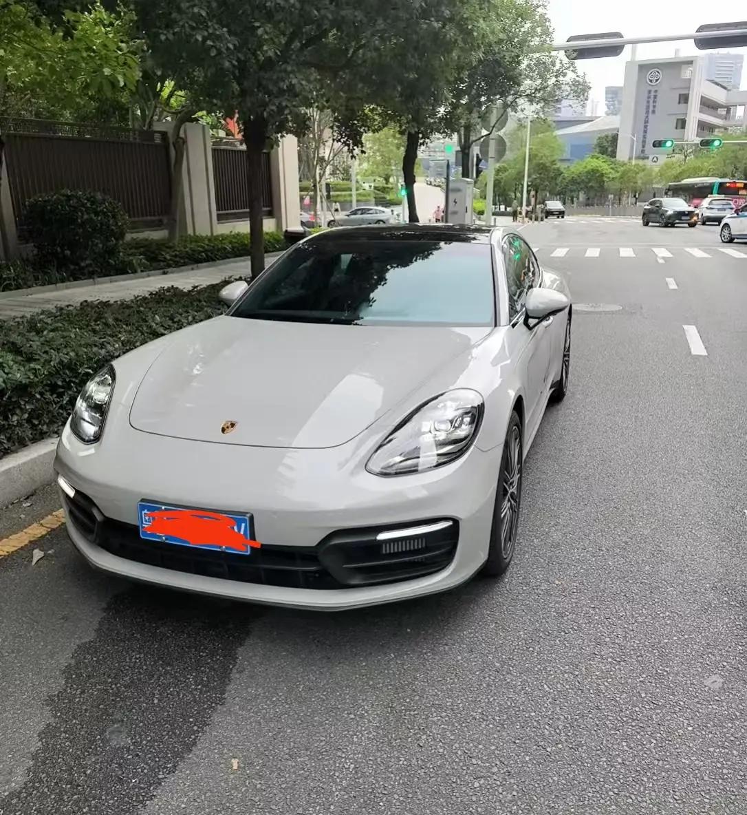 Panamera 2022 Panamera 2.9T Platinum Edition