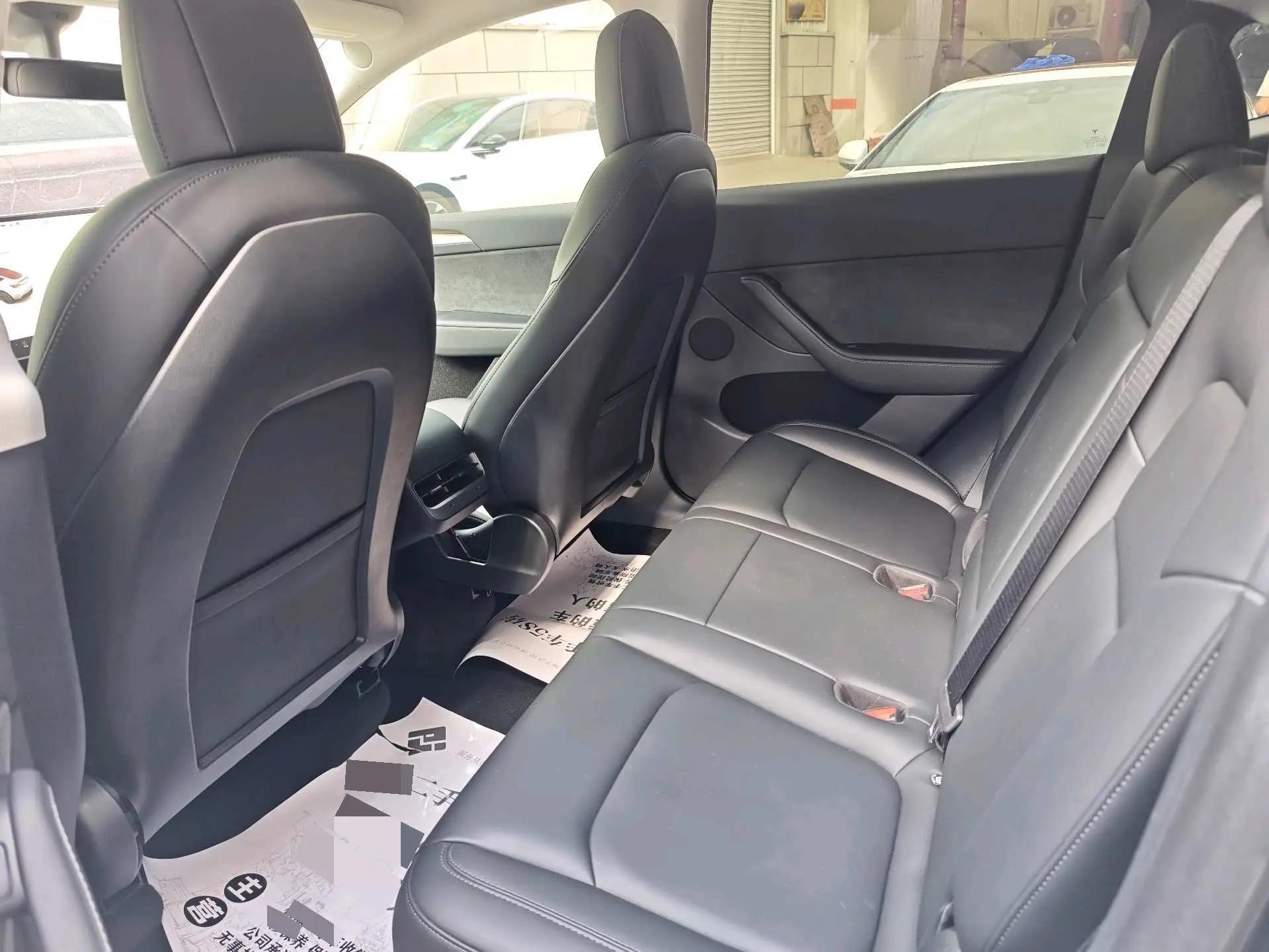2021 Model Y Standard Range Rear-Wheel Drive Edition 2
