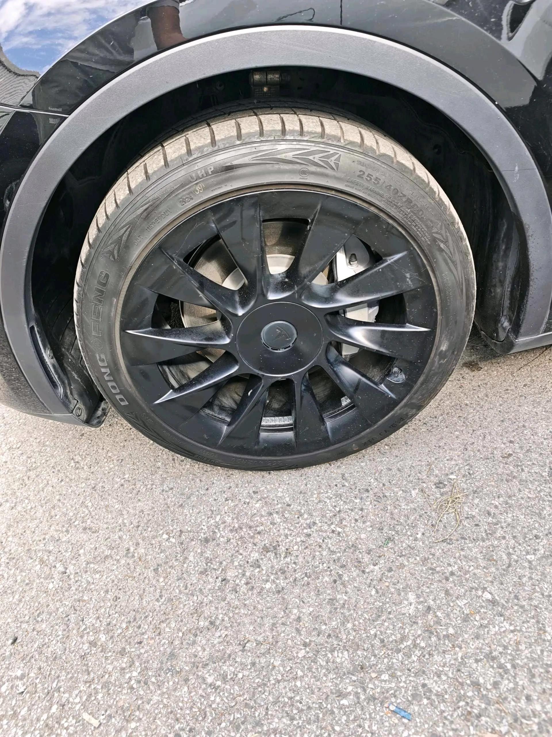 2021 Model Y Standard Range Rear-Wheel Drive Edition 5