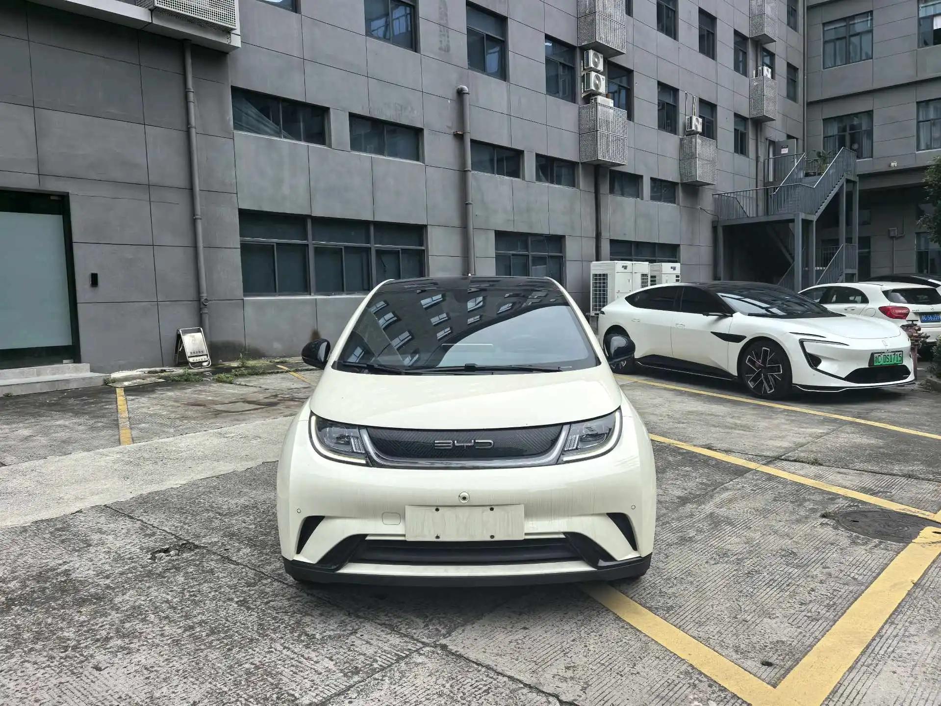 BYD 2023 Dolphin 420km Fashion Edition Automatic 2