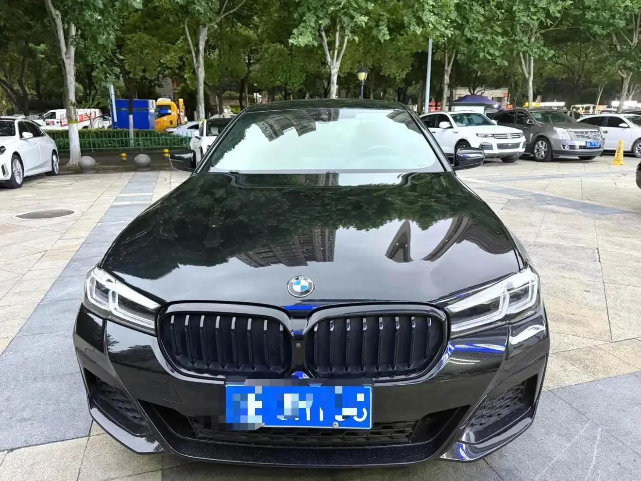 BMW 5 Series 2021 530Li Exclusive M Sports Suit 2