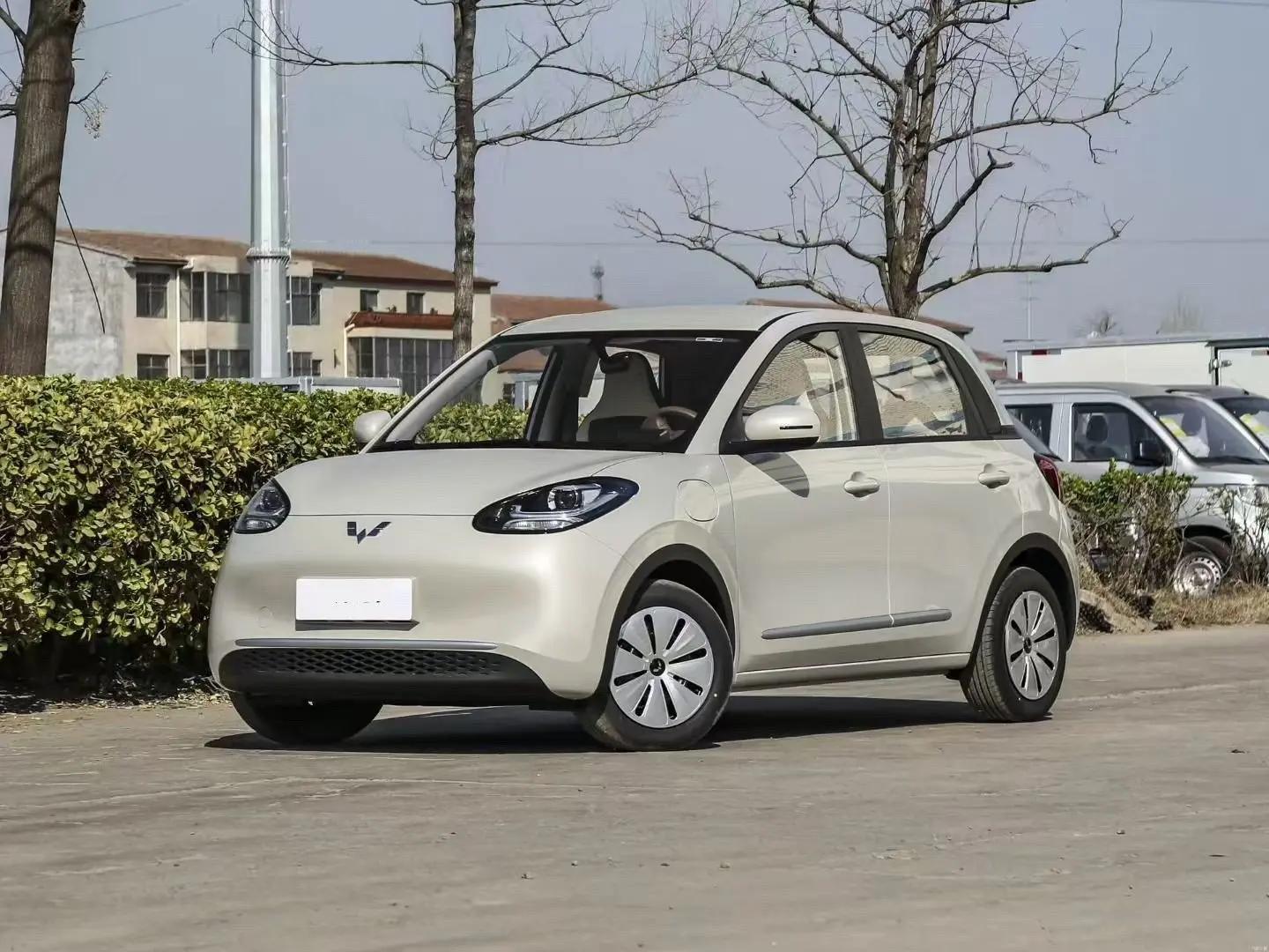 WuLing Plantronics 2023 203km Light Enjoy
