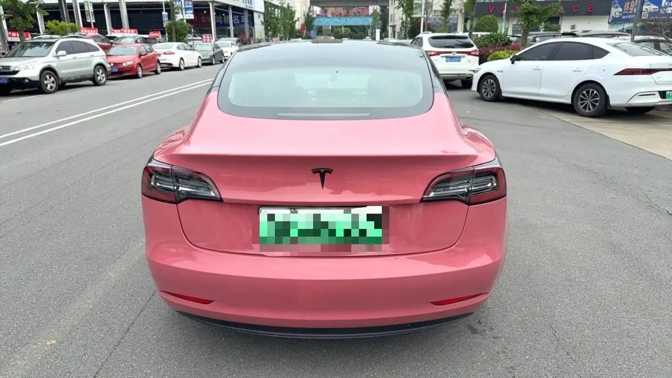 Model 3 2019 Standard Endurance Rear Drive Upgrade 5
