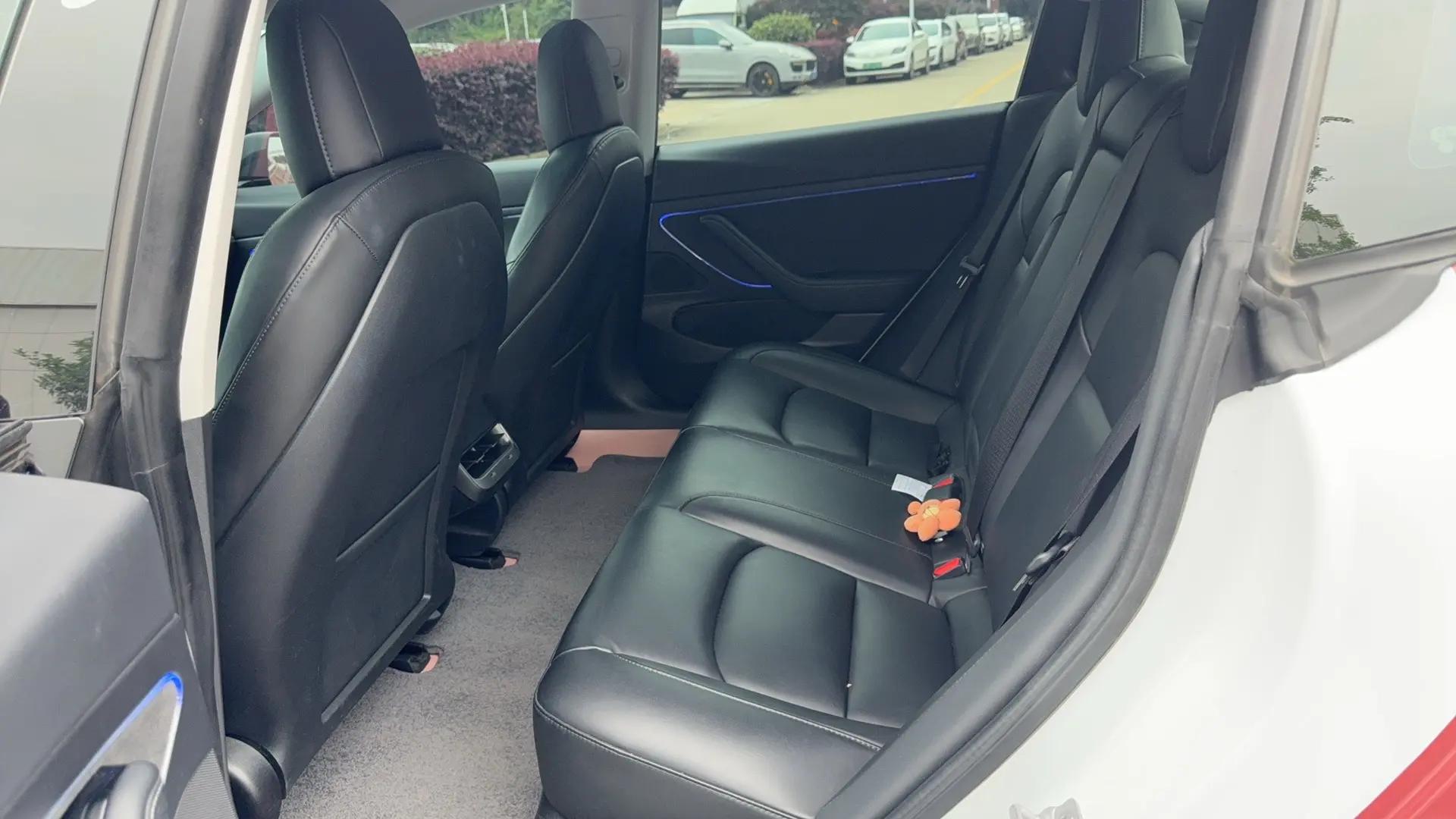 Model 3 2019 Standard Endurance Rear Drive Upgrade 7