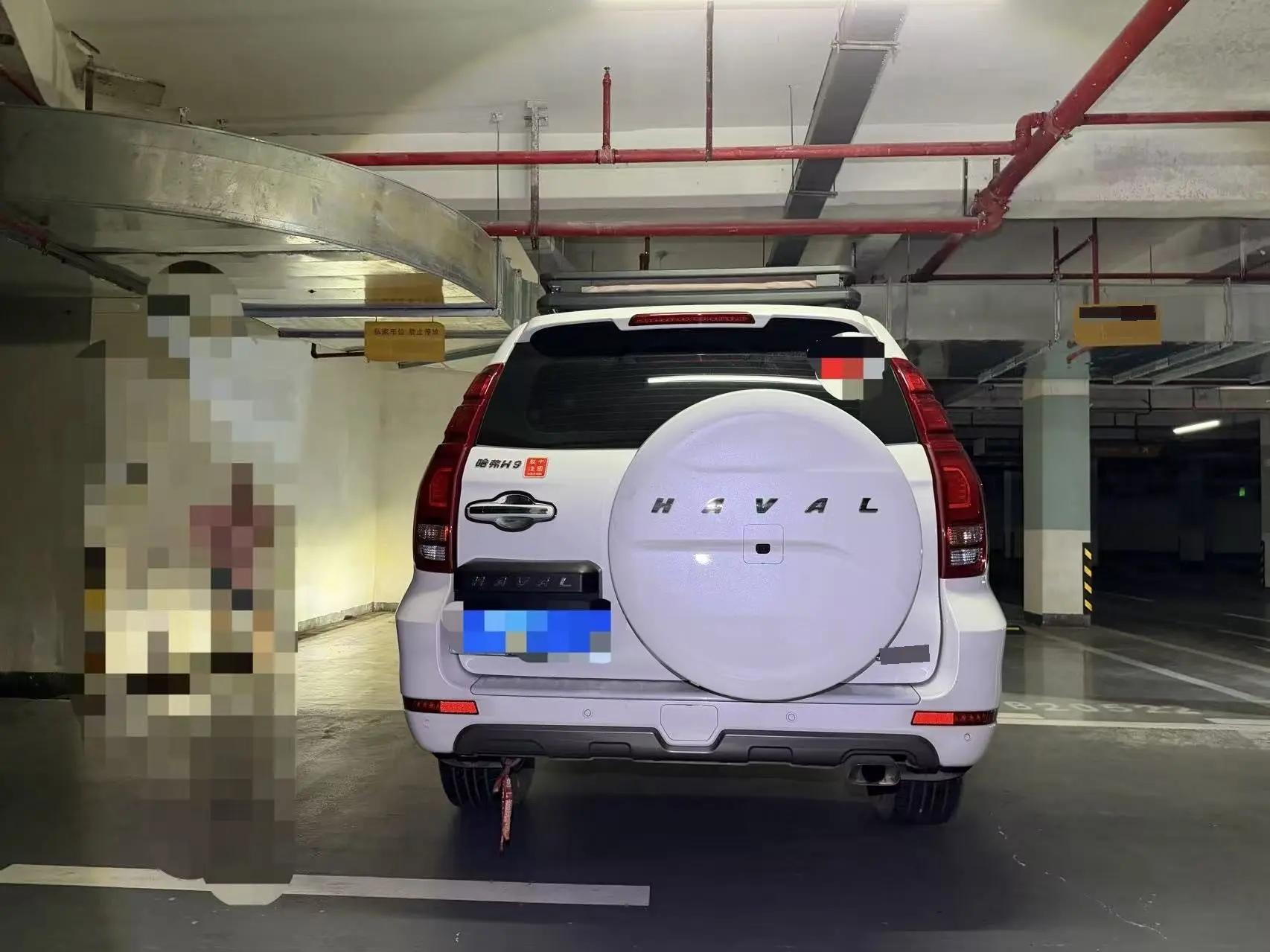 Haval H9 2020 2.0T Gasoline Four-wheel Drive Luxury 7-seat 8