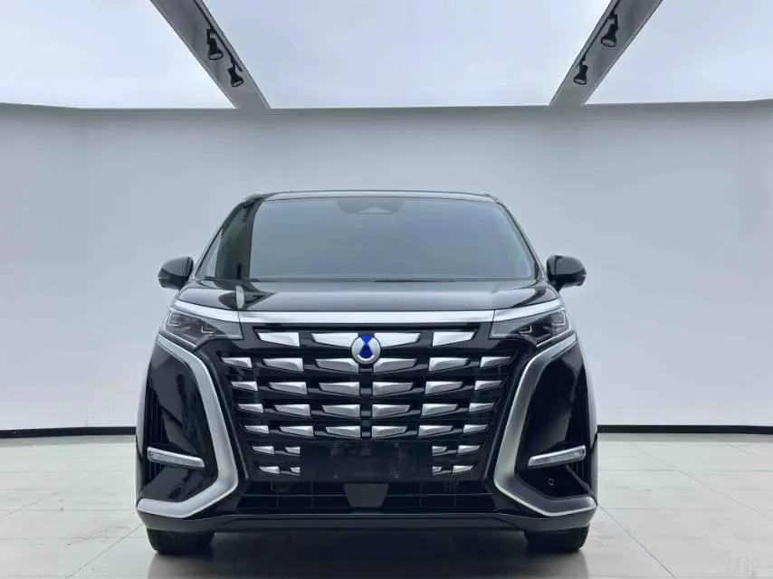 Denza D9 2024 DM-i 980 four-wheel drive flagship 2