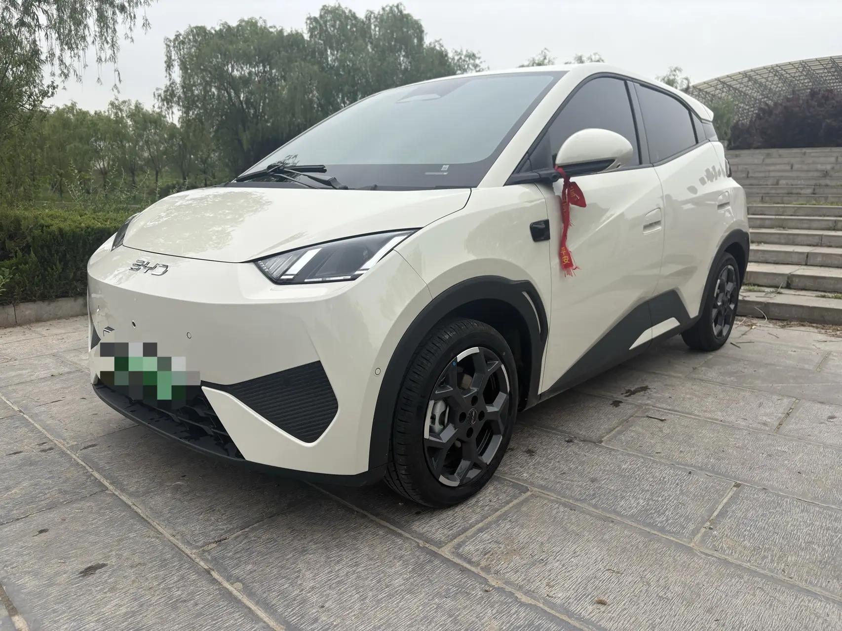 BYD 2025 Seagull Intelligent Driving Version 305km Free Edition Automatic