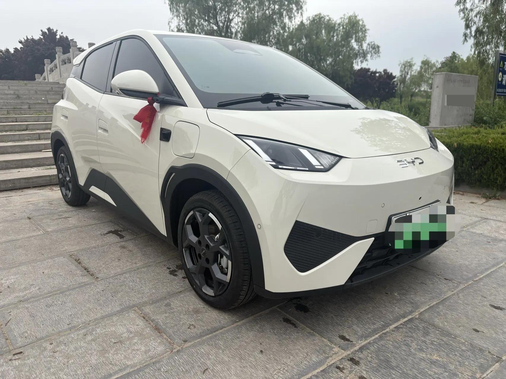 BYD 2025 Seagull Intelligent Driving Version 305km Free Edition Automatic 2