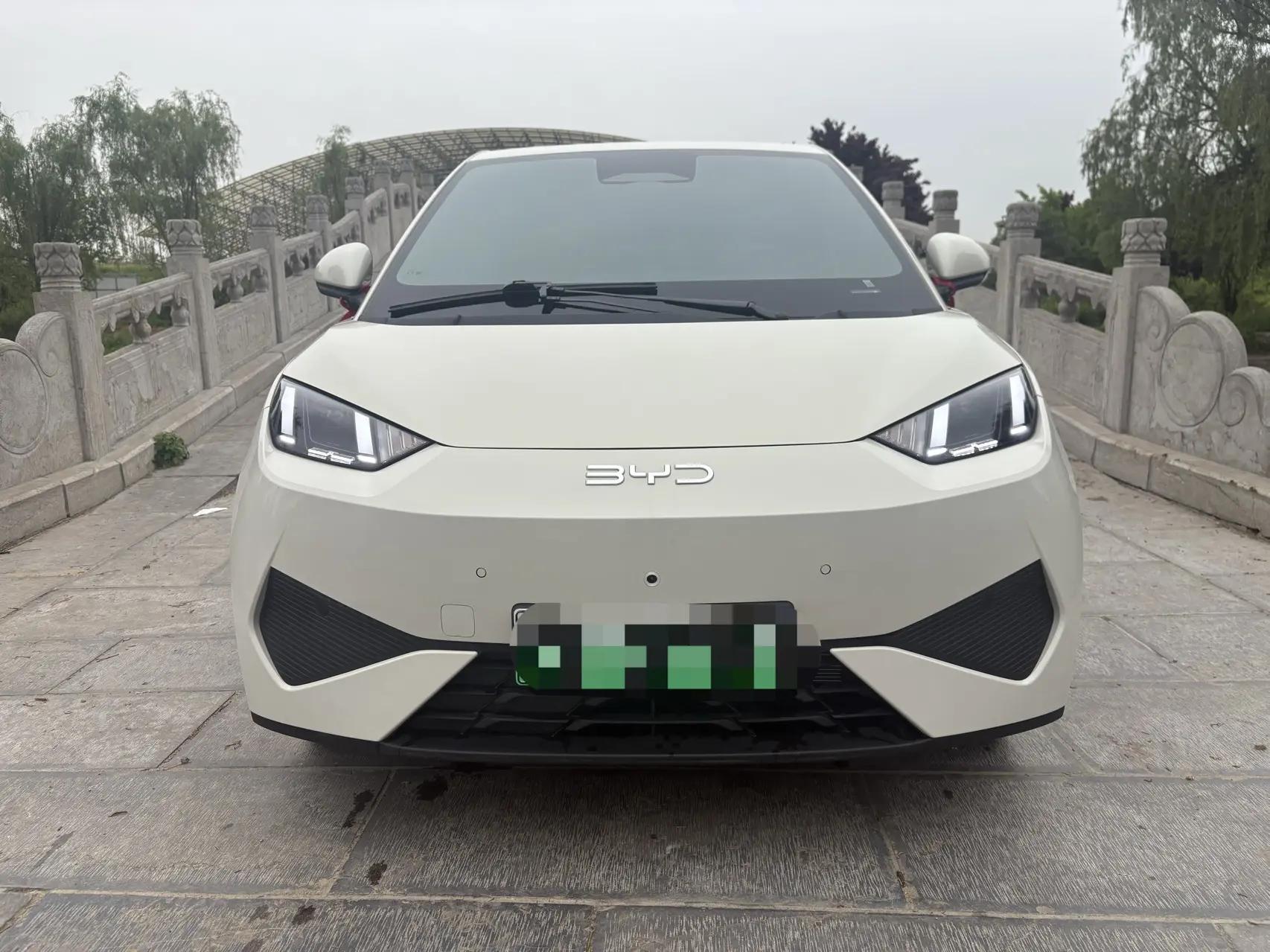 BYD 2025 Seagull Intelligent Driving Version 305km Free Edition Automatic 3
