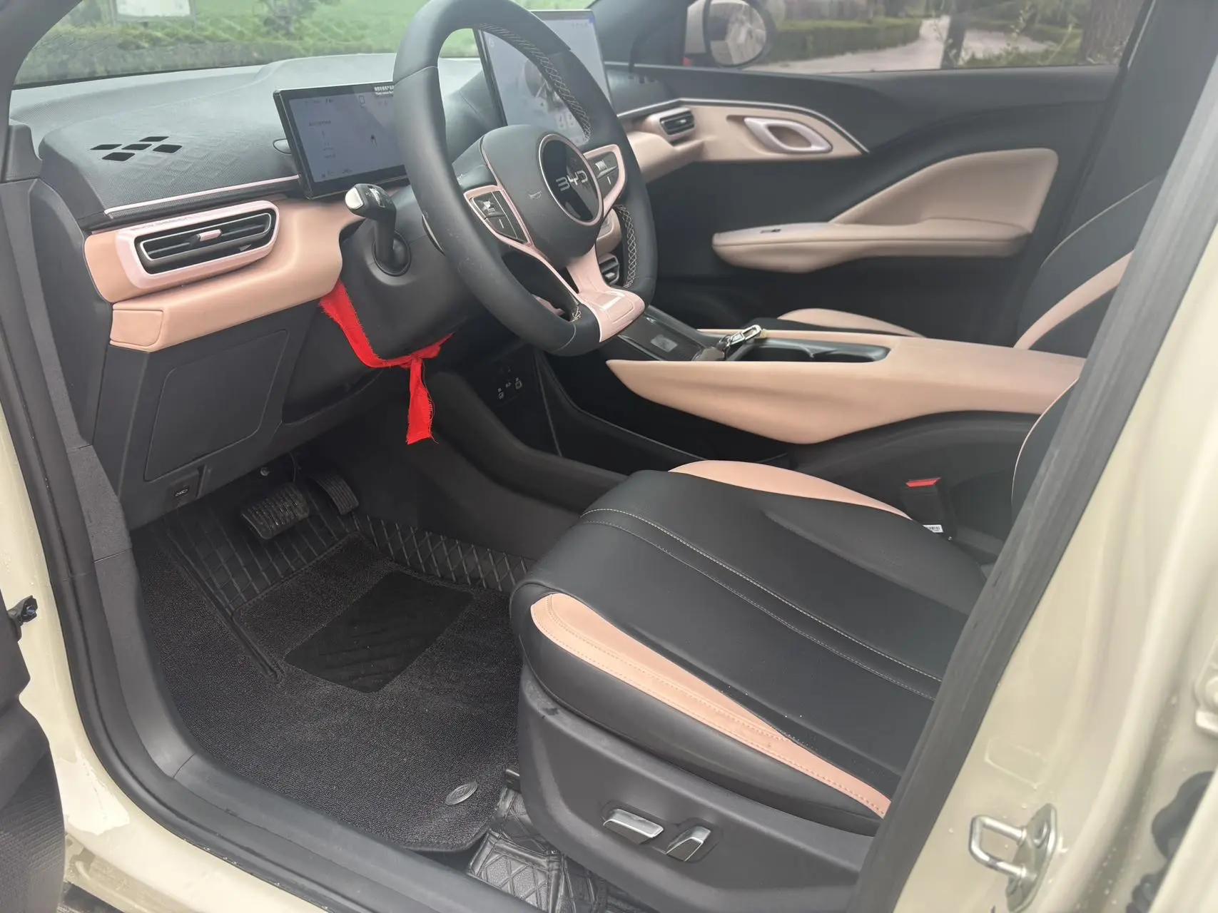 BYD 2025 Seagull Intelligent Driving Version 305km Free Edition Automatic 5