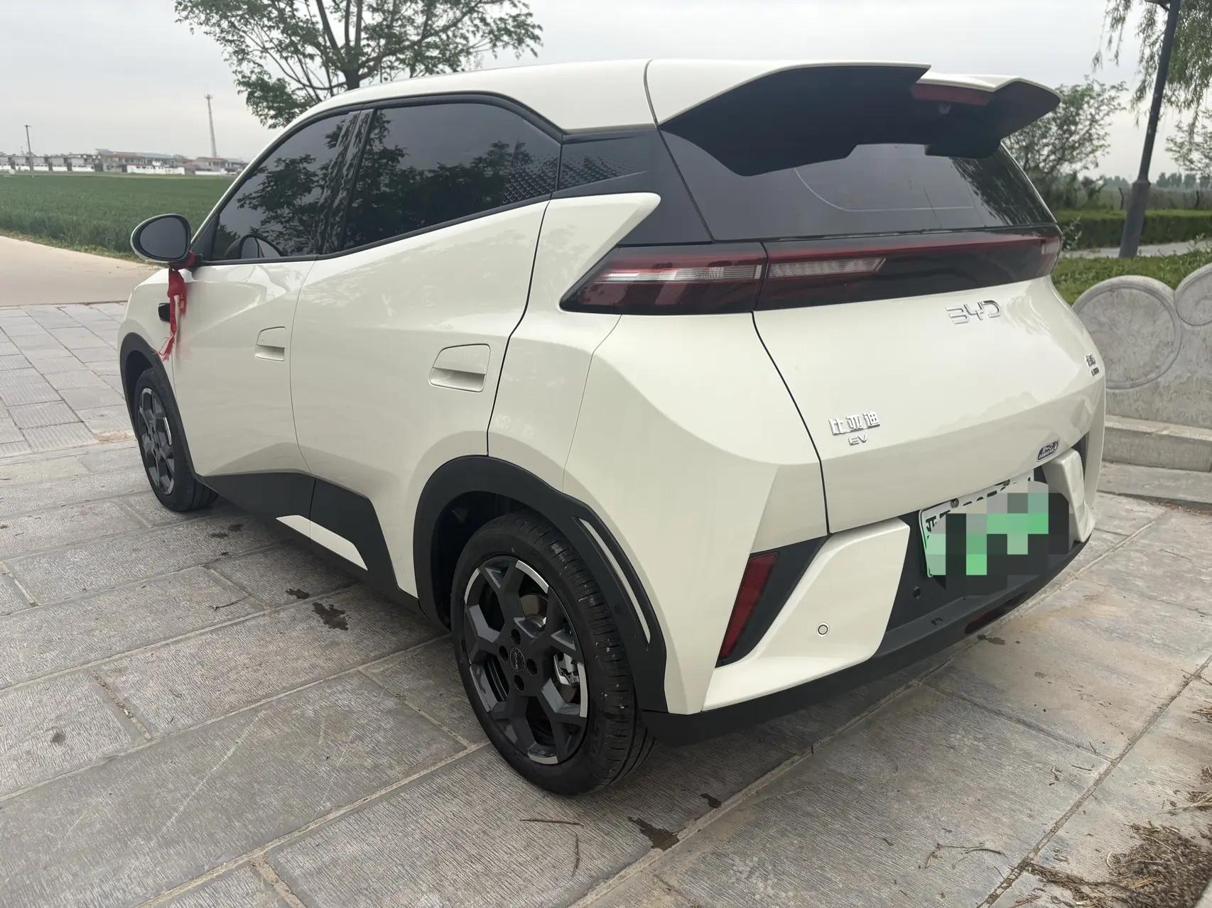 BYD 2025 Seagull Intelligent Driving Version 305km Free Edition Automatic 6