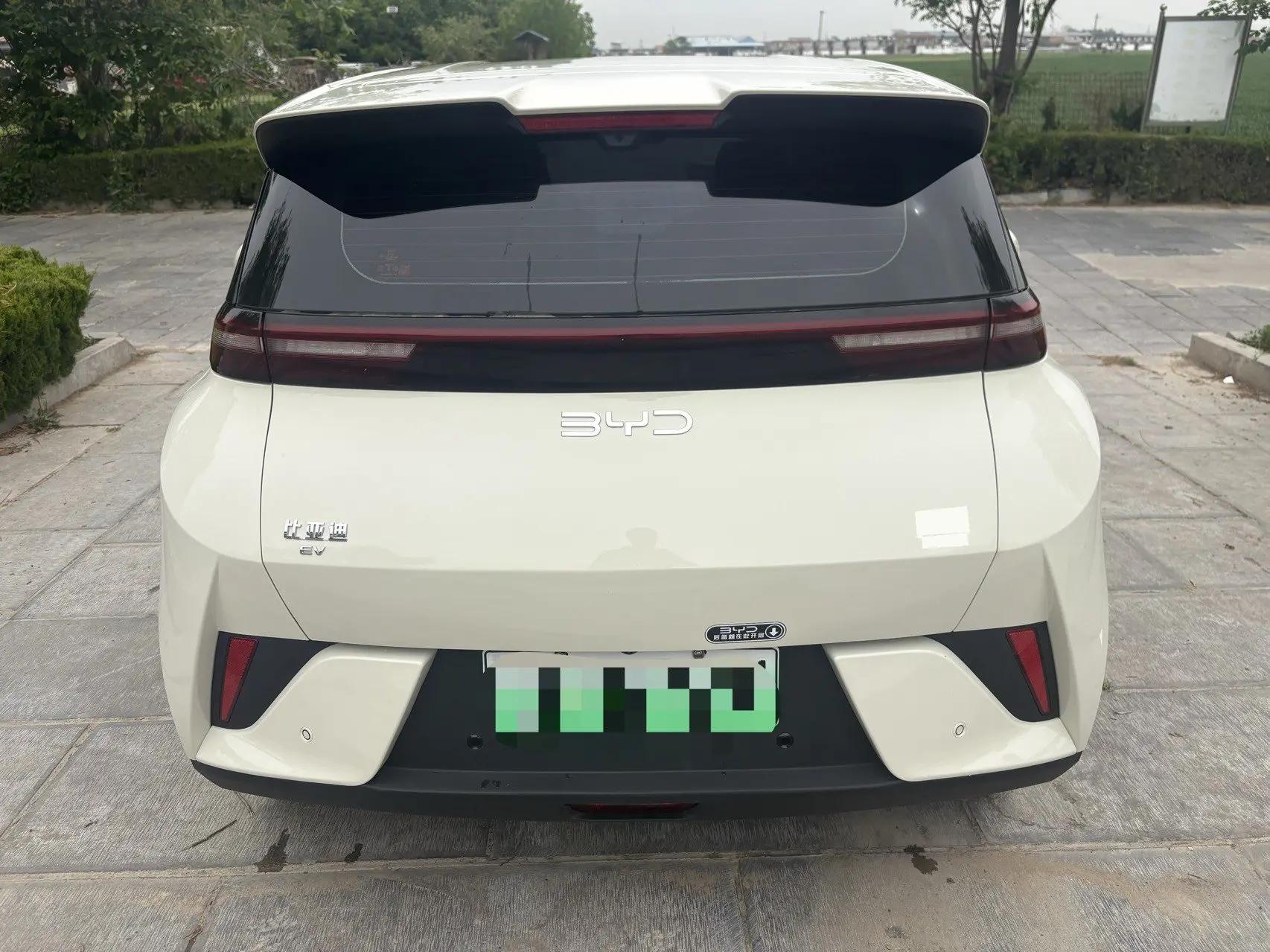 BYD 2025 Seagull Intelligent Driving Version 305km Free Edition Automatic 7