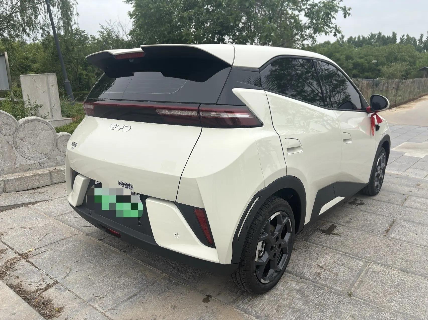 BYD 2025 Seagull Intelligent Driving Version 305km Free Edition Automatic 8
